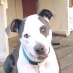 Meet your Posher, Trisha